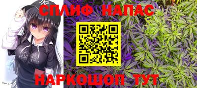 амф Камышлов