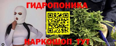 амф Камышлов