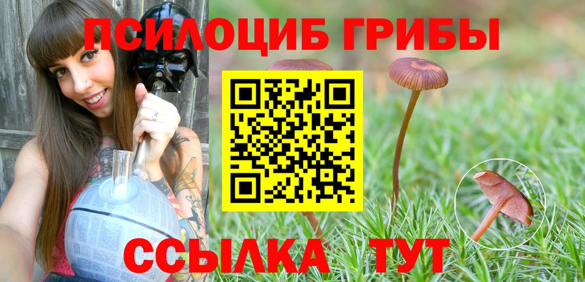Галлюциногенные грибы MAGIC MUSHROOMS  Вход с VPN  Черногорск  Псилоцибиновые грибы мухоморы 